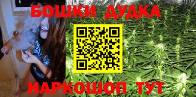 гидра Гусев