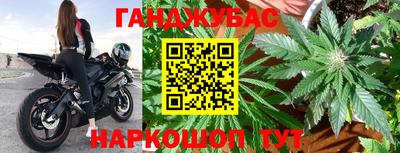 эйфоретик Гатчина