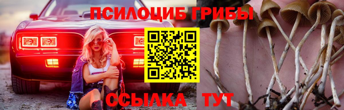 Псилоцибиновые грибы MAGIC MUSHROOMS Барнаул