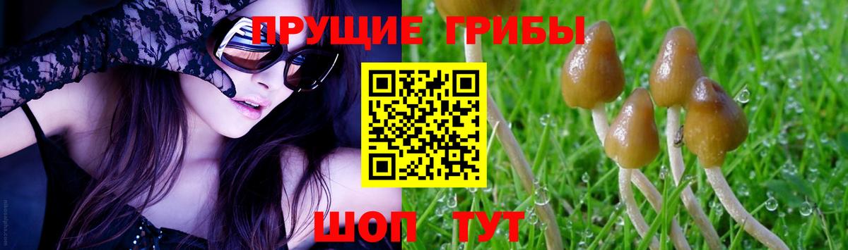 Барнаул  Галлюциногенные грибы мухоморы  Вход с VPN 